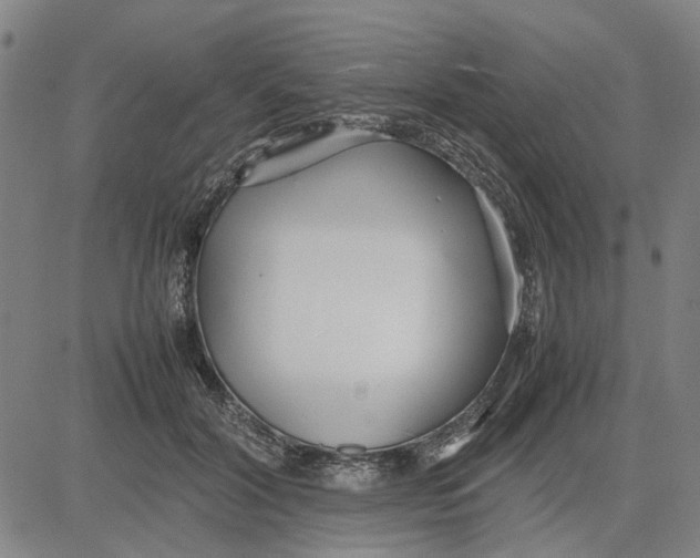 X0000081430604200702021654