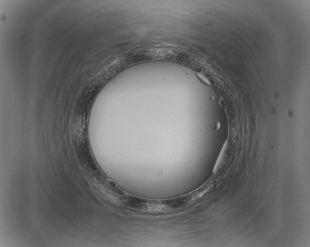 X0000081430605200702021654