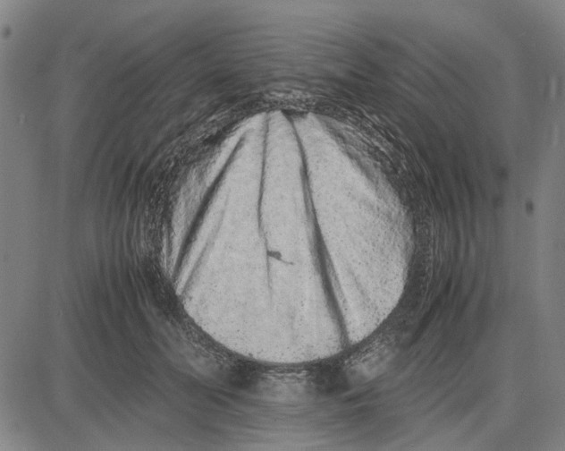 X0000081430606200702021654