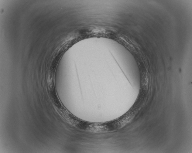 X0000081430607200702021654