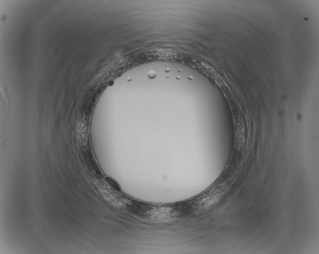 X0000081430609200702021654