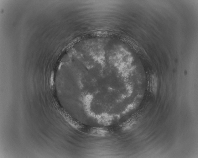 X0000081430610200702021654