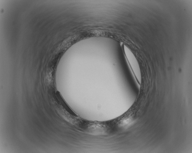 X0000081430611200702021654