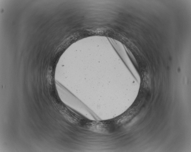 X0000081430612200702021654