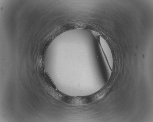 X0000081430613200702021654