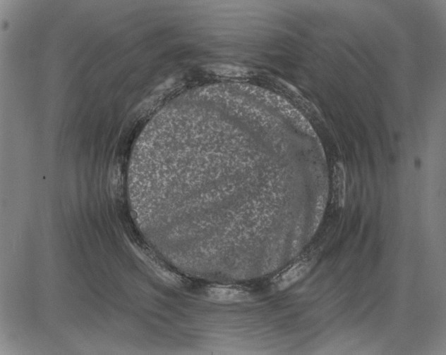 X0000081430614200702021654