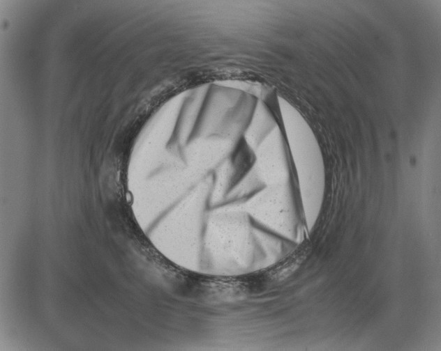 X0000081430615200702021654