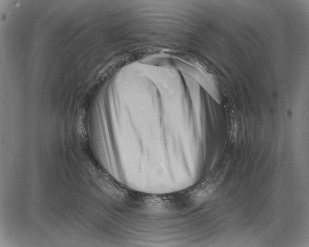 X0000081430616200702021654