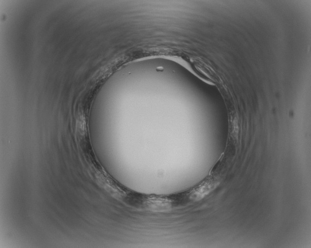 X0000081430617200702021654