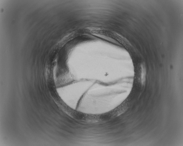 X0000081430618200702021654