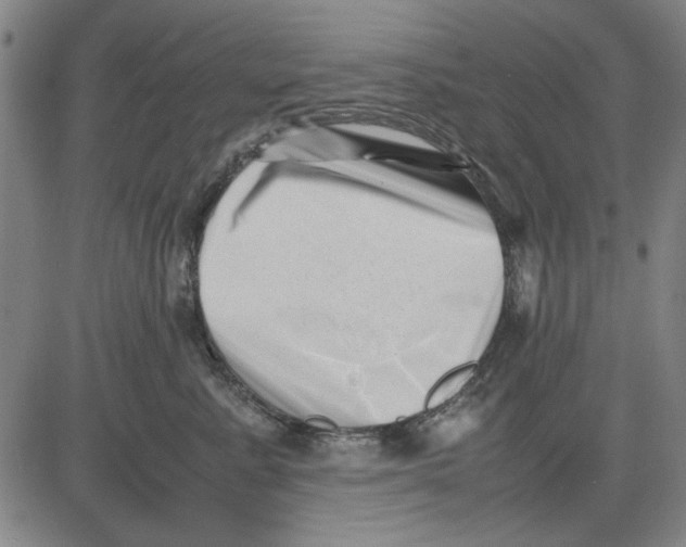 X0000081430619200702021654