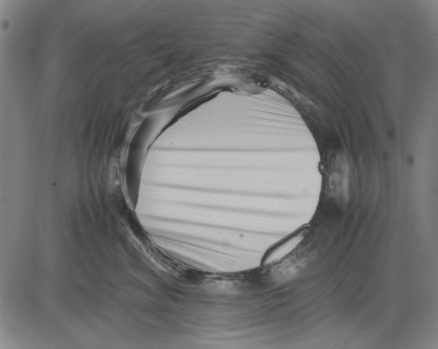 X0000081430620200702021654