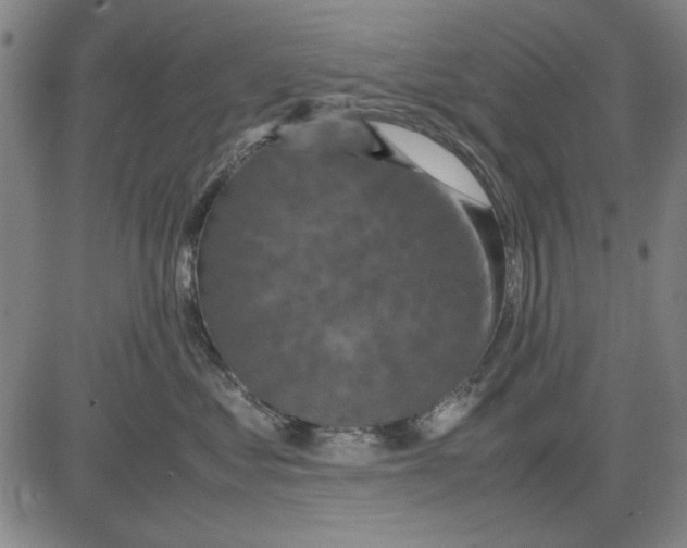 X0000081430621200702021654