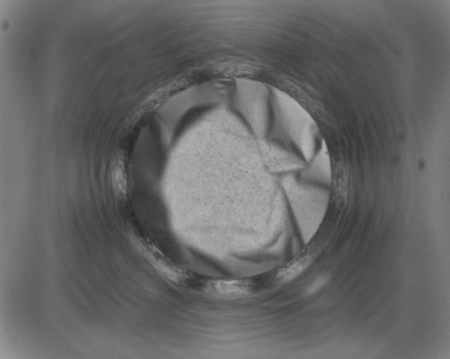 X0000081430622200702021654