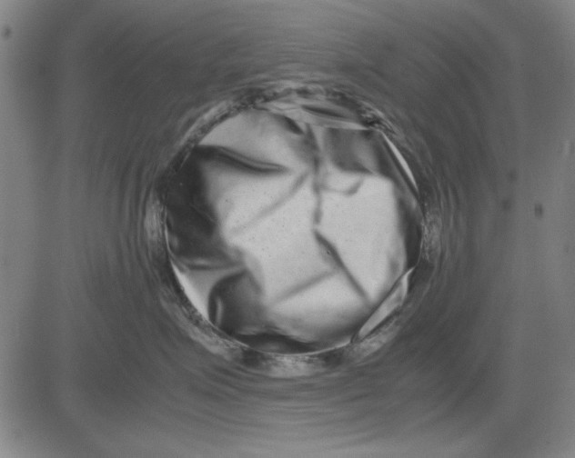 X0000081430623200702021654