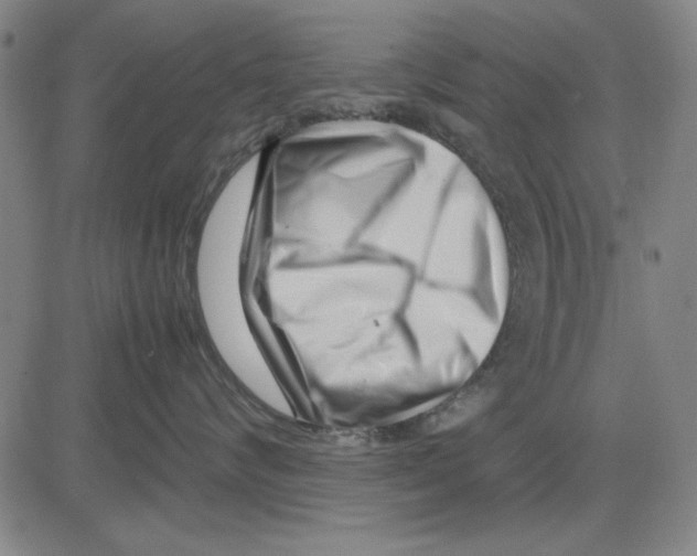 X0000081430624200702021654