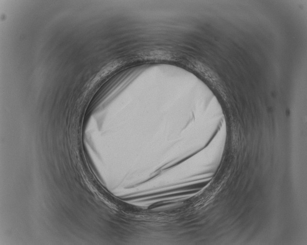 X0000081430625200702021653