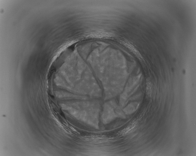 X0000081430626200702021653