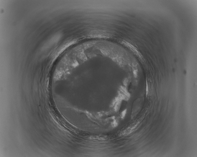 X0000081430627200702021653