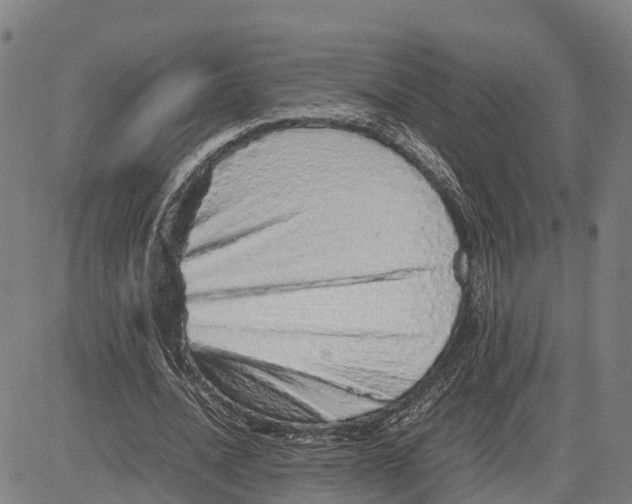 X0000081430628200702021653