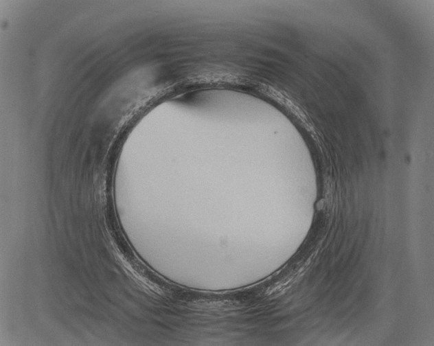 X0000081430629200702021653