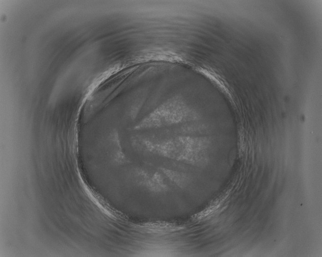 X0000081430630200702021653