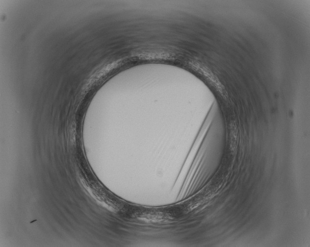 X0000081430631200702021653