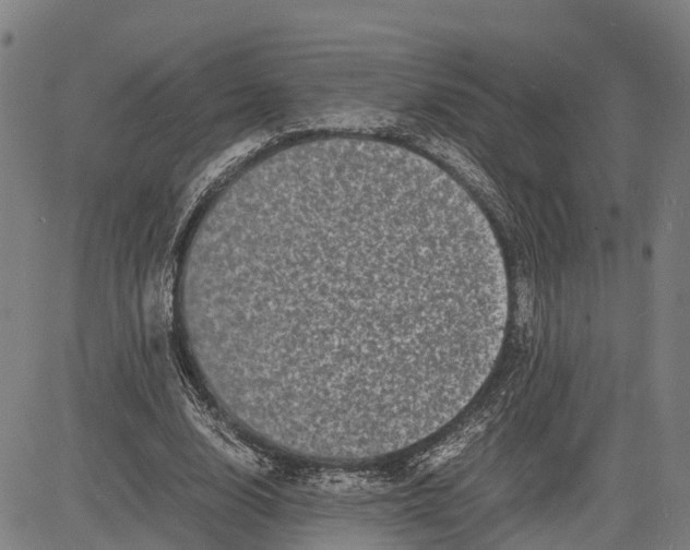 X0000081430632200702021653