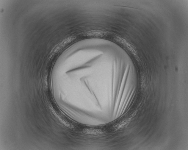 X0000081430633200702021653