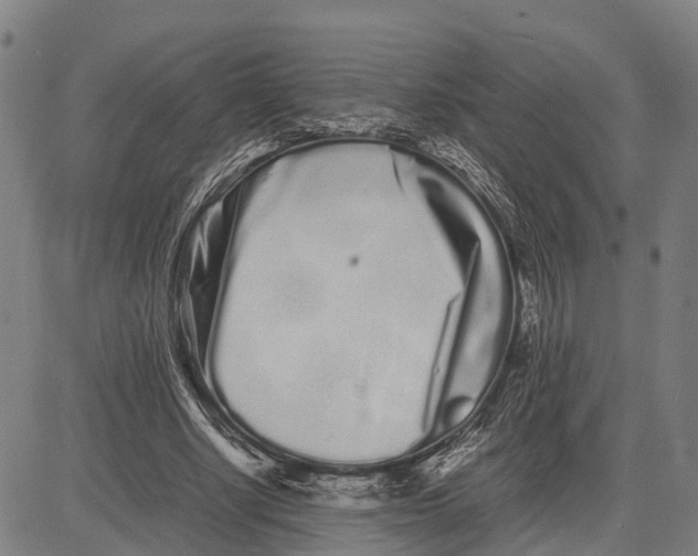 X0000081430634200702021653