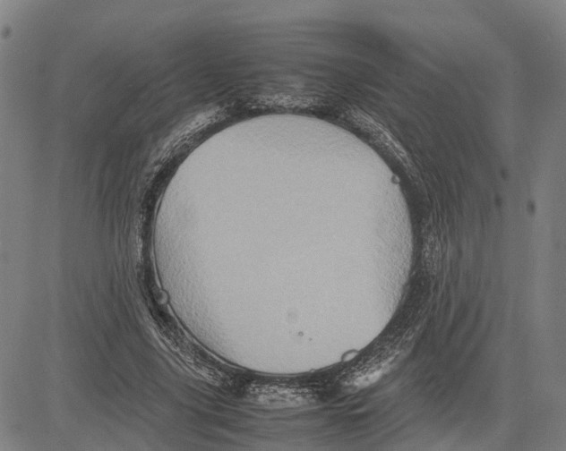 X0000081430635200702021653