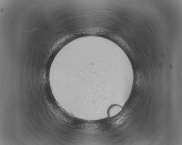 X0000081430636200702021653