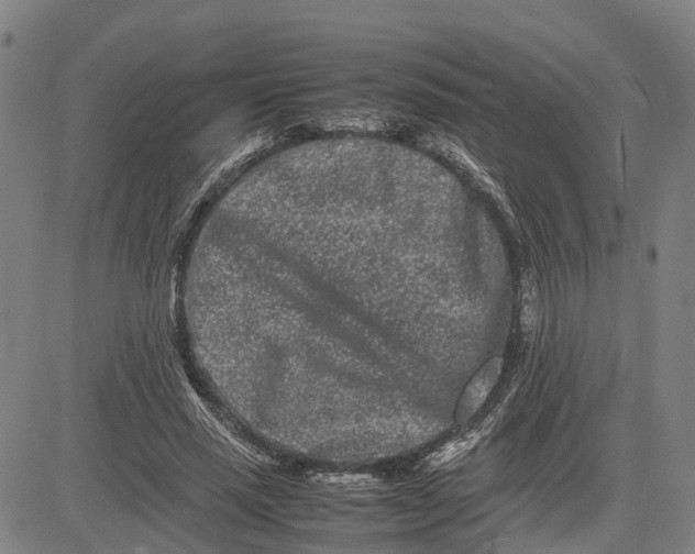 X0000081430637200702021653