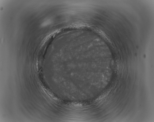 X0000081430640200702021653