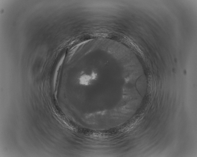 X0000081430641200702021653