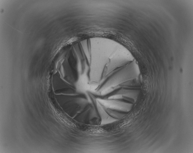 X0000081430642200702021653