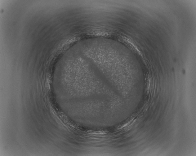 X0000081430643200702021653