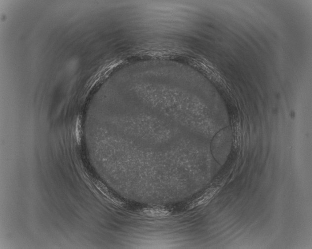 X0000081430644200702021653