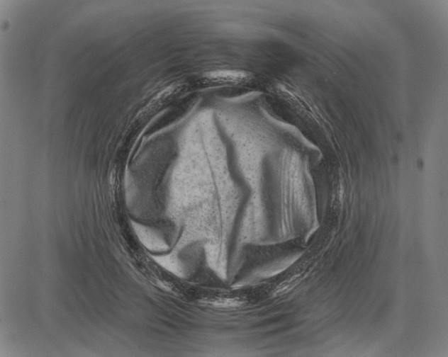 X0000081430647200702021653