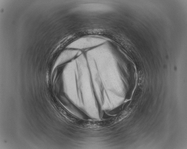 X0000081430648200702021653