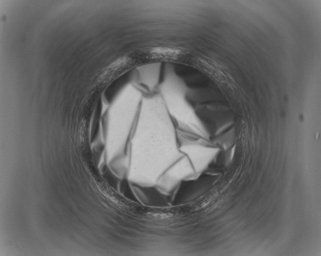 X0000081430649200702021653