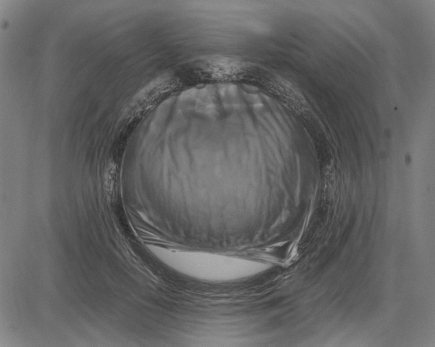 X0000081430650200702021653