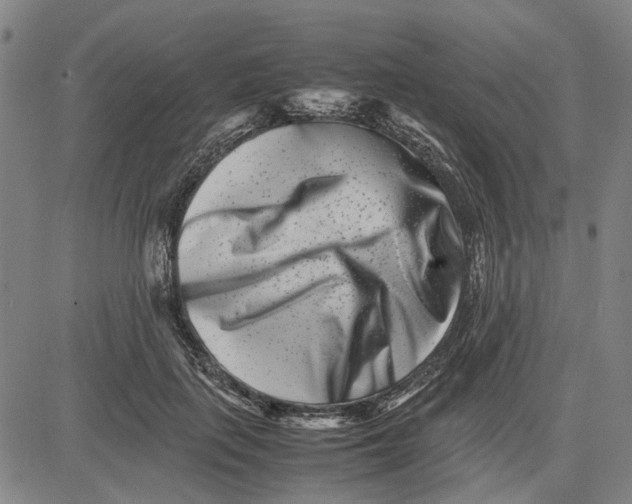 X0000081430651200702021653