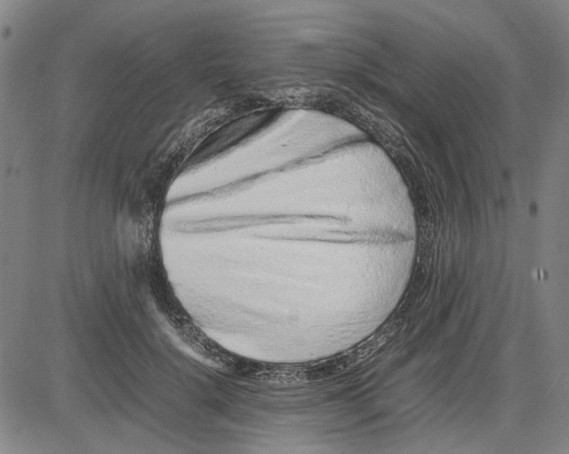 X0000081430652200702021653