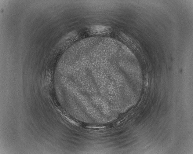 X0000081430653200702021653