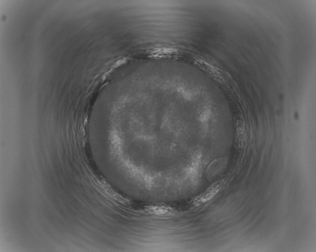 X0000081430654200702021653