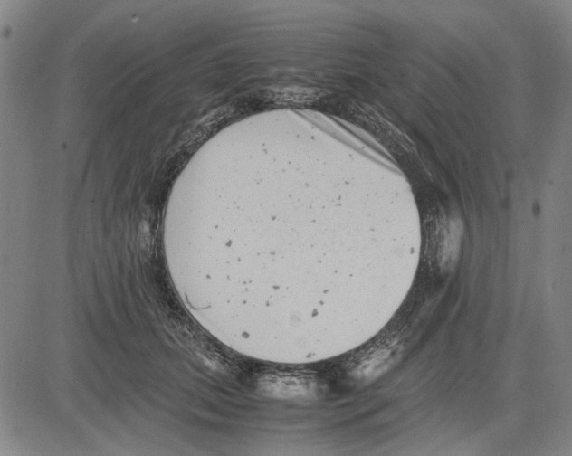 X0000081430655200702021653