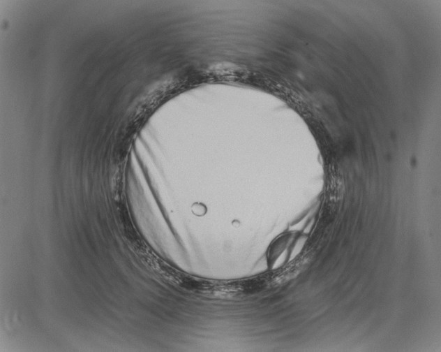 X0000081430656200702021653