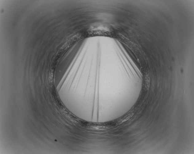 X0000081430657200702021653