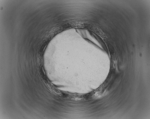 X0000081430658200702021654